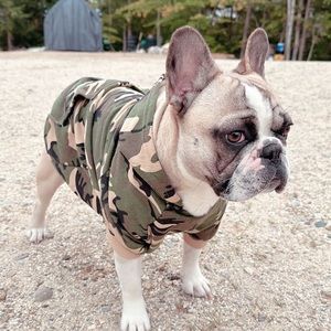 Meet your Posher, Camryn